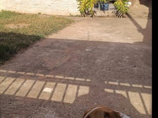 Imagem do imóvel CA46844